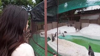 波多野结衣-キレイなお姉さんのパンモロ誘惑コレクション