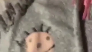 影视世界旅行家被调教好的母狗挺没意思的