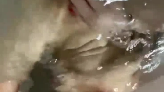 真实绿帽偷情！同事替我加班，我在酒店操他老婆